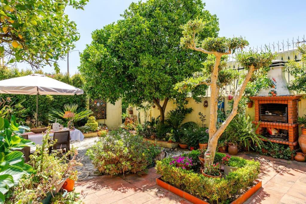 Studio & Garden Lisboa المظهر الخارجي الصورة
