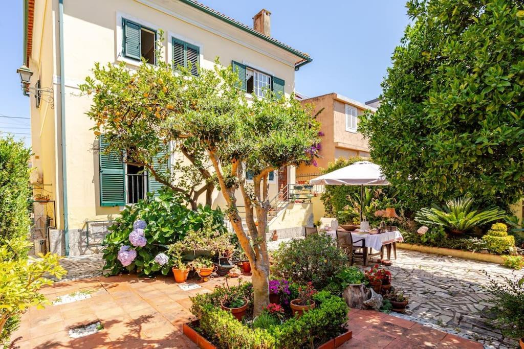 Studio & Garden Lisboa المظهر الخارجي الصورة