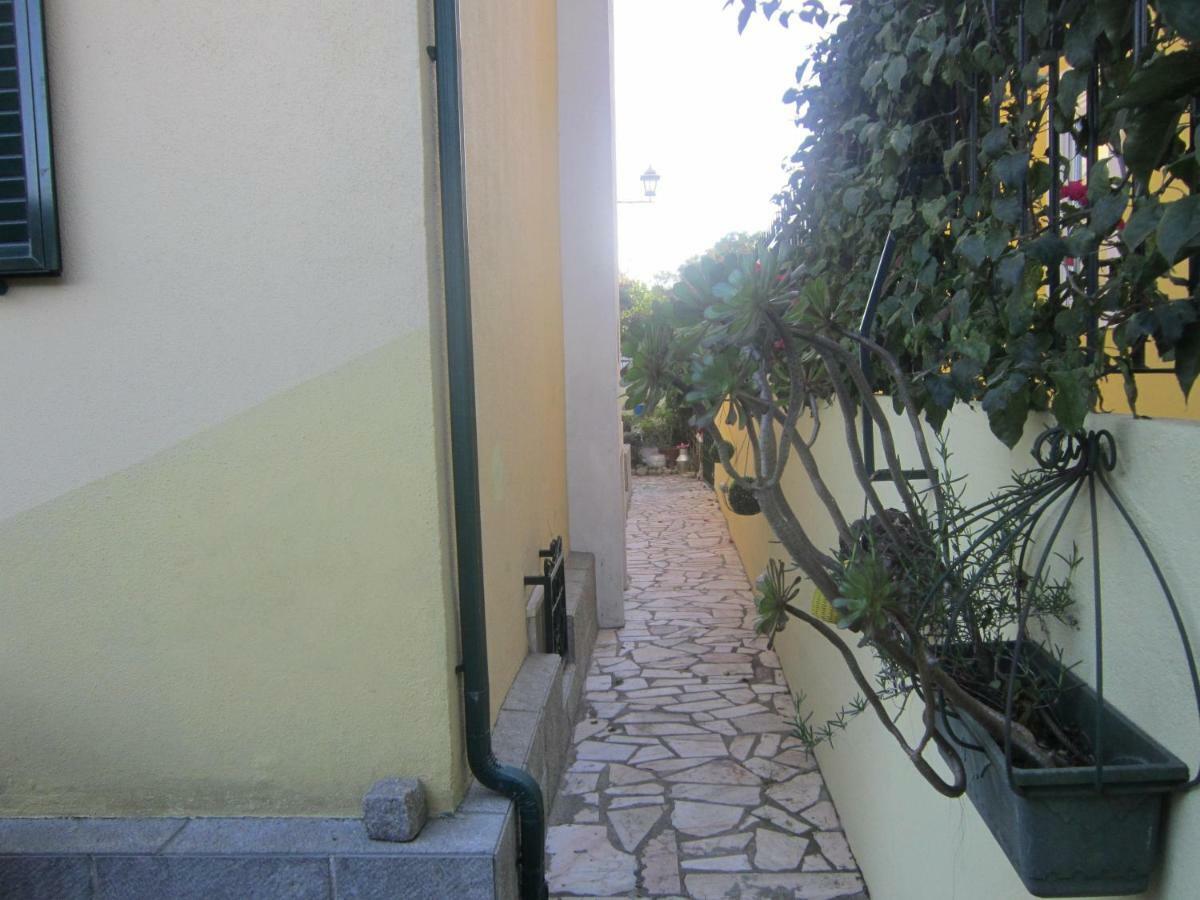 Studio & Garden Lisboa المظهر الخارجي الصورة